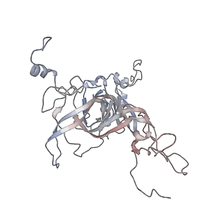 16729_8cmj_FF_v1-6
Translocation intermediate 4 (TI-4*) of 80S S. cerevisiae ribosome with eEF2 in the absence of sordarin