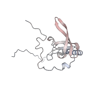 16729_8cmj_F_v1-5
Translocation intermediate 4 (TI-4*) of 80S S. cerevisiae ribosome with eEF2 in the absence of sordarin
