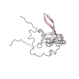 16729_8cmj_F_v1-6
Translocation intermediate 4 (TI-4*) of 80S S. cerevisiae ribosome with eEF2 in the absence of sordarin