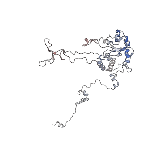 16729_8cmj_GG_v1-5
Translocation intermediate 4 (TI-4*) of 80S S. cerevisiae ribosome with eEF2 in the absence of sordarin