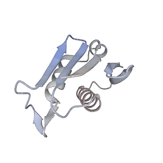 16729_8cmj_G_v1-5
Translocation intermediate 4 (TI-4*) of 80S S. cerevisiae ribosome with eEF2 in the absence of sordarin