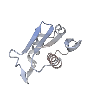 16729_8cmj_G_v1-6
Translocation intermediate 4 (TI-4*) of 80S S. cerevisiae ribosome with eEF2 in the absence of sordarin