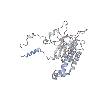 16729_8cmj_HH_v1-5
Translocation intermediate 4 (TI-4*) of 80S S. cerevisiae ribosome with eEF2 in the absence of sordarin