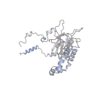 16729_8cmj_HH_v1-6
Translocation intermediate 4 (TI-4*) of 80S S. cerevisiae ribosome with eEF2 in the absence of sordarin