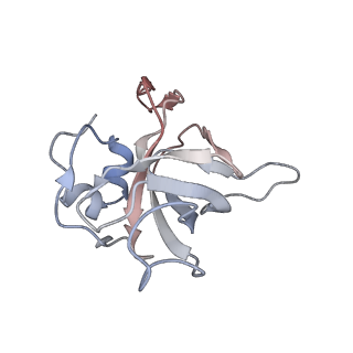 16729_8cmj_H_v1-5
Translocation intermediate 4 (TI-4*) of 80S S. cerevisiae ribosome with eEF2 in the absence of sordarin