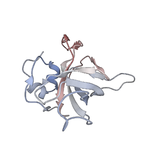 16729_8cmj_H_v1-6
Translocation intermediate 4 (TI-4*) of 80S S. cerevisiae ribosome with eEF2 in the absence of sordarin