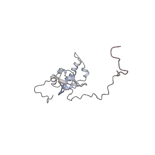 16729_8cmj_II_v1-5
Translocation intermediate 4 (TI-4*) of 80S S. cerevisiae ribosome with eEF2 in the absence of sordarin