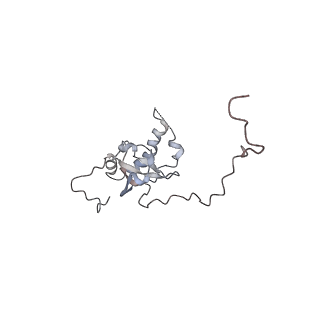 16729_8cmj_II_v1-6
Translocation intermediate 4 (TI-4*) of 80S S. cerevisiae ribosome with eEF2 in the absence of sordarin