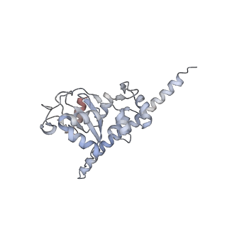 16729_8cmj_JJ_v1-5
Translocation intermediate 4 (TI-4*) of 80S S. cerevisiae ribosome with eEF2 in the absence of sordarin