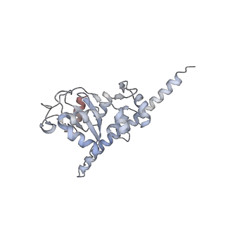 16729_8cmj_JJ_v1-6
Translocation intermediate 4 (TI-4*) of 80S S. cerevisiae ribosome with eEF2 in the absence of sordarin