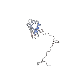 16729_8cmj_J_v1-5
Translocation intermediate 4 (TI-4*) of 80S S. cerevisiae ribosome with eEF2 in the absence of sordarin