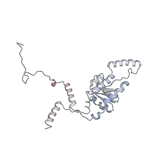 16729_8cmj_KK_v1-5
Translocation intermediate 4 (TI-4*) of 80S S. cerevisiae ribosome with eEF2 in the absence of sordarin
