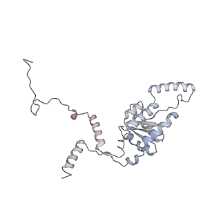 16729_8cmj_KK_v1-6
Translocation intermediate 4 (TI-4*) of 80S S. cerevisiae ribosome with eEF2 in the absence of sordarin