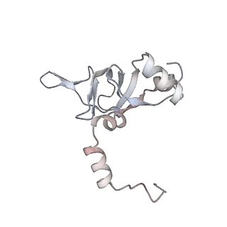 16729_8cmj_K_v1-5
Translocation intermediate 4 (TI-4*) of 80S S. cerevisiae ribosome with eEF2 in the absence of sordarin