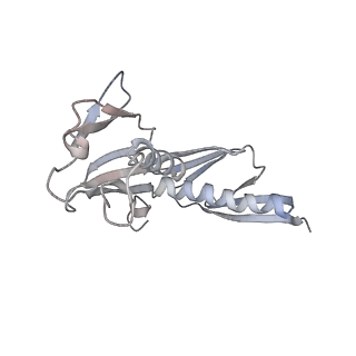 16729_8cmj_LL_v1-5
Translocation intermediate 4 (TI-4*) of 80S S. cerevisiae ribosome with eEF2 in the absence of sordarin