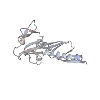 16729_8cmj_LL_v1-6
Translocation intermediate 4 (TI-4*) of 80S S. cerevisiae ribosome with eEF2 in the absence of sordarin