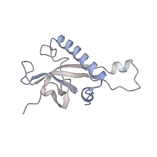 16729_8cmj_L_v1-5
Translocation intermediate 4 (TI-4*) of 80S S. cerevisiae ribosome with eEF2 in the absence of sordarin