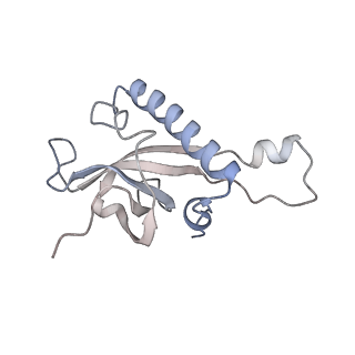 16729_8cmj_L_v1-6
Translocation intermediate 4 (TI-4*) of 80S S. cerevisiae ribosome with eEF2 in the absence of sordarin