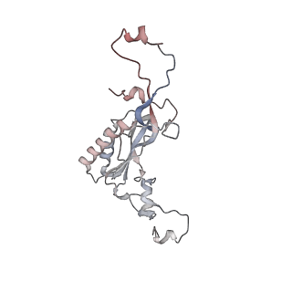 16729_8cmj_MM_v1-5
Translocation intermediate 4 (TI-4*) of 80S S. cerevisiae ribosome with eEF2 in the absence of sordarin