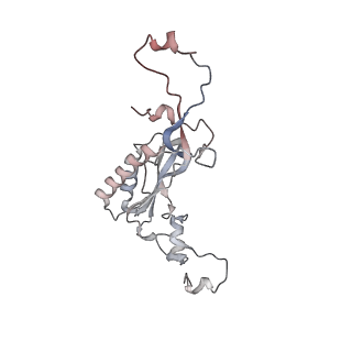 16729_8cmj_MM_v1-6
Translocation intermediate 4 (TI-4*) of 80S S. cerevisiae ribosome with eEF2 in the absence of sordarin