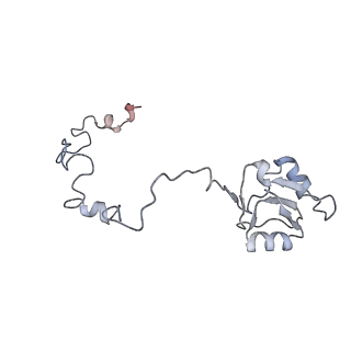 16729_8cmj_M_v1-5
Translocation intermediate 4 (TI-4*) of 80S S. cerevisiae ribosome with eEF2 in the absence of sordarin