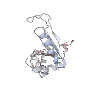 16729_8cmj_NN_v1-5
Translocation intermediate 4 (TI-4*) of 80S S. cerevisiae ribosome with eEF2 in the absence of sordarin