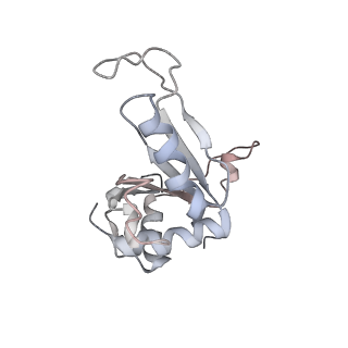 16729_8cmj_NN_v1-6
Translocation intermediate 4 (TI-4*) of 80S S. cerevisiae ribosome with eEF2 in the absence of sordarin