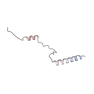 16729_8cmj_N_v1-6
Translocation intermediate 4 (TI-4*) of 80S S. cerevisiae ribosome with eEF2 in the absence of sordarin