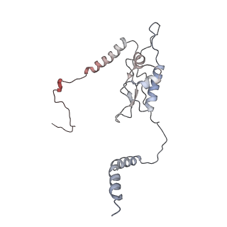 16729_8cmj_OO_v1-5
Translocation intermediate 4 (TI-4*) of 80S S. cerevisiae ribosome with eEF2 in the absence of sordarin