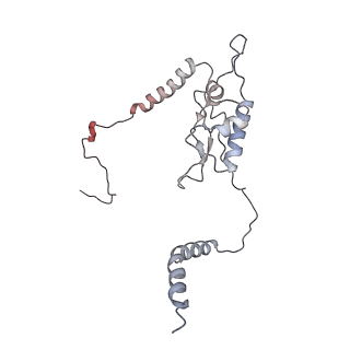 16729_8cmj_OO_v1-6
Translocation intermediate 4 (TI-4*) of 80S S. cerevisiae ribosome with eEF2 in the absence of sordarin