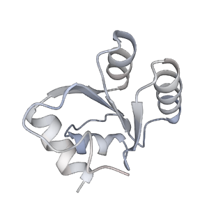 16729_8cmj_O_v1-6
Translocation intermediate 4 (TI-4*) of 80S S. cerevisiae ribosome with eEF2 in the absence of sordarin