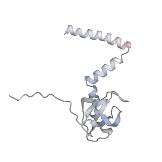 16729_8cmj_PP_v1-5
Translocation intermediate 4 (TI-4*) of 80S S. cerevisiae ribosome with eEF2 in the absence of sordarin