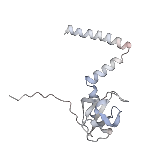 16729_8cmj_PP_v1-6
Translocation intermediate 4 (TI-4*) of 80S S. cerevisiae ribosome with eEF2 in the absence of sordarin