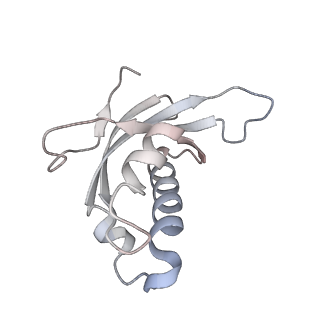 16729_8cmj_P_v1-6
Translocation intermediate 4 (TI-4*) of 80S S. cerevisiae ribosome with eEF2 in the absence of sordarin