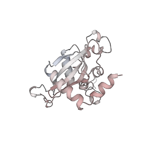 16729_8cmj_QQ_v1-5
Translocation intermediate 4 (TI-4*) of 80S S. cerevisiae ribosome with eEF2 in the absence of sordarin