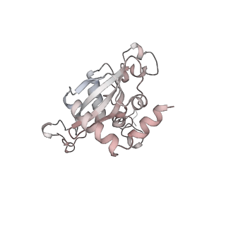 16729_8cmj_QQ_v1-6
Translocation intermediate 4 (TI-4*) of 80S S. cerevisiae ribosome with eEF2 in the absence of sordarin