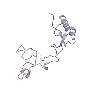 16729_8cmj_Q_v1-5
Translocation intermediate 4 (TI-4*) of 80S S. cerevisiae ribosome with eEF2 in the absence of sordarin