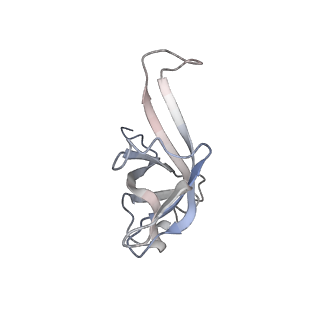 16729_8cmj_R_v1-6
Translocation intermediate 4 (TI-4*) of 80S S. cerevisiae ribosome with eEF2 in the absence of sordarin