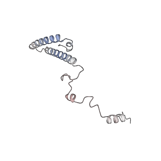 16729_8cmj_T_v1-5
Translocation intermediate 4 (TI-4*) of 80S S. cerevisiae ribosome with eEF2 in the absence of sordarin