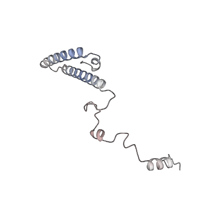 16729_8cmj_T_v1-6
Translocation intermediate 4 (TI-4*) of 80S S. cerevisiae ribosome with eEF2 in the absence of sordarin