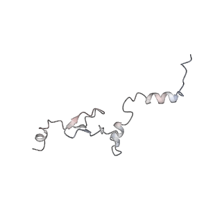 16729_8cmj_V_v1-5
Translocation intermediate 4 (TI-4*) of 80S S. cerevisiae ribosome with eEF2 in the absence of sordarin