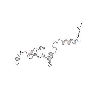 16729_8cmj_V_v1-6
Translocation intermediate 4 (TI-4*) of 80S S. cerevisiae ribosome with eEF2 in the absence of sordarin