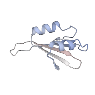 16729_8cmj_W_v1-6
Translocation intermediate 4 (TI-4*) of 80S S. cerevisiae ribosome with eEF2 in the absence of sordarin