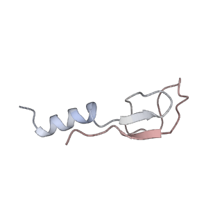 16729_8cmj_Y_v1-6
Translocation intermediate 4 (TI-4*) of 80S S. cerevisiae ribosome with eEF2 in the absence of sordarin