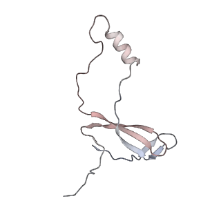 16729_8cmj_a_v1-5
Translocation intermediate 4 (TI-4*) of 80S S. cerevisiae ribosome with eEF2 in the absence of sordarin