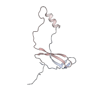 16729_8cmj_a_v1-6
Translocation intermediate 4 (TI-4*) of 80S S. cerevisiae ribosome with eEF2 in the absence of sordarin