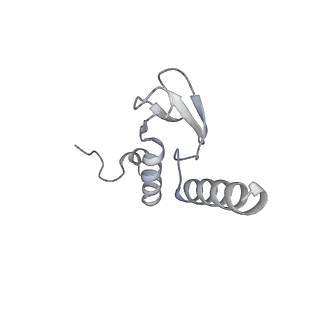 16729_8cmj_b_v1-6
Translocation intermediate 4 (TI-4*) of 80S S. cerevisiae ribosome with eEF2 in the absence of sordarin