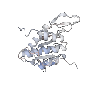 16729_8cmj_d_v1-5
Translocation intermediate 4 (TI-4*) of 80S S. cerevisiae ribosome with eEF2 in the absence of sordarin