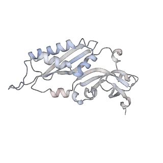 16729_8cmj_e_v1-5
Translocation intermediate 4 (TI-4*) of 80S S. cerevisiae ribosome with eEF2 in the absence of sordarin