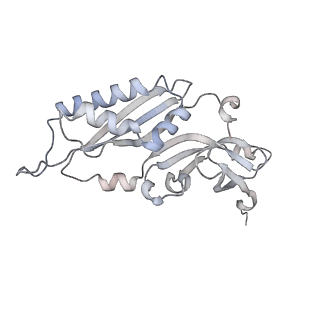 16729_8cmj_e_v1-6
Translocation intermediate 4 (TI-4*) of 80S S. cerevisiae ribosome with eEF2 in the absence of sordarin